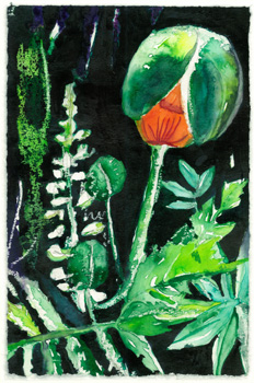 Aquarell von Sigrid Bellack