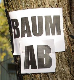Baum-ab-ASz-250