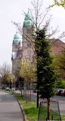 baume-gericht-klein2