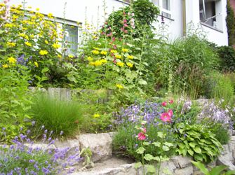 Blumen-250