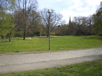 KT_Wiese-dunkel-korr-250