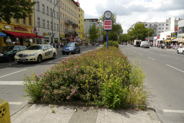 Mittelstreifen_BNM-250