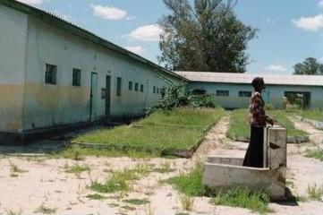 Shamba-schule-240