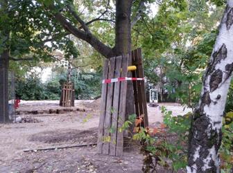 Wald_foto-bau-250