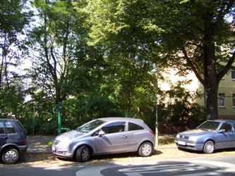 wegende-250