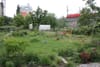 Gemeinschaftsgarten Moabeet