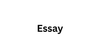Der Essay