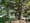 Wenn der letzte Friedhof stirbt